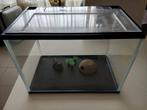 Aquarium met leuke accessoires, Ophalen, Gebruikt