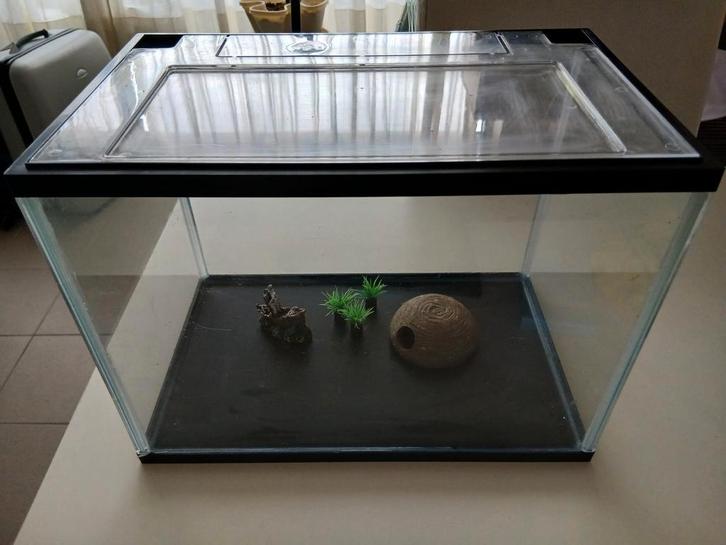 Aquarium met leuke accessoires, Dieren en Toebehoren, Vissen | Aquaria en Toebehoren, Gebruikt, Ophalen