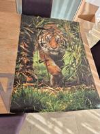 Poster tijger, Verzamelen, Posters, Ophalen of Verzenden, Gebruikt, Dier of Natuur