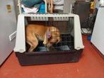 Cage de transport pour chien    H /59 L/84 P/50, Animaux & Accessoires, Enlèvement, Utilisé