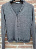 Twinset Pianoforte di MaxMara - maat 38 (cashmere/zijde), Kleding | Dames, Ophalen of Verzenden, Zo goed als nieuw, Maat 38/40 (M)