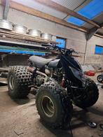 Quad cpi crab 100cc, Motos, 1 cylindre, 100 cm³