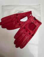 Lady drive gloves, Kleding | Dames, Handschoenen, Nieuw, Harssidanzar, Maat 38/40 (M)