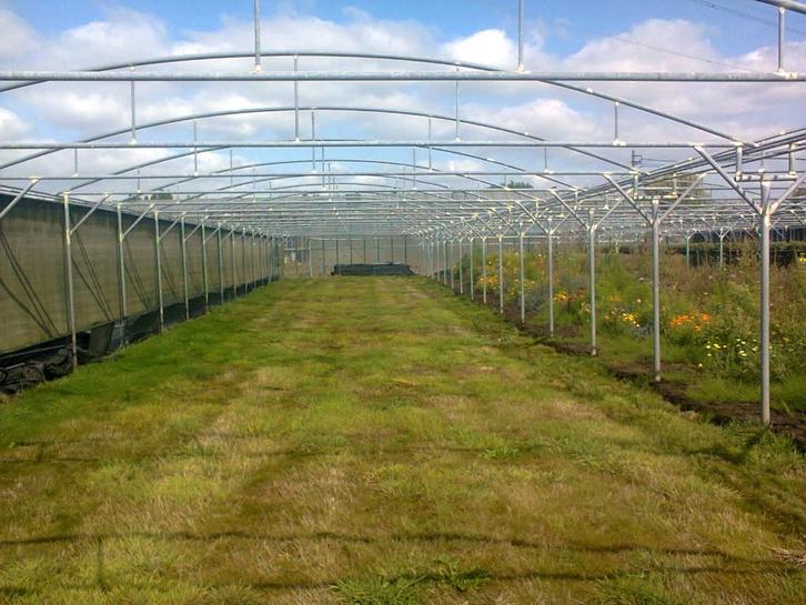 PLASTIEKSERRE en SUBSTRAAT materiaal voor aardbeien, Tuin en Terras, Kweekspullen, Gebruikt, Overige typen, Ophalen