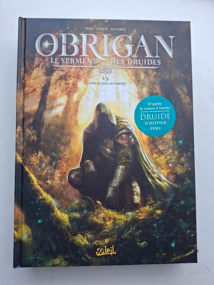 OBRIGAN LE SERMENT DES DRUIDES TOME 1 EO 11/2025, Boeken, Stripverhalen, Zo goed als nieuw, Eén stripboek, Ophalen of Verzenden