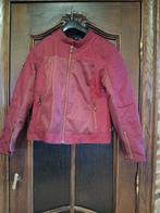 Motorjas Segura dames T2/M, Femmes, Enlèvement, Segura, Manteau | tissu