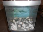 zilverkleurige aquarium met licht, Dieren en Toebehoren, Gebruikt, Ophalen