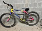 Mountainbike framemaat 46 cm, Ophalen, Gebruikt