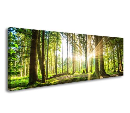 Nieuw canvas schilderij panorama Bos Natuur 120 x 40 cm, Antiek en Kunst, Kunst | Schilderijen | Modern, Verzenden