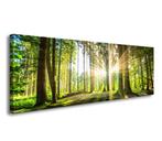 Nieuw canvas schilderij panorama Bos Natuur 120 x 40 cm, Verzenden