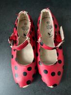 Flamenco schoentjes maat 30, Kinderen en Baby's, Ophalen of Verzenden, Gebruikt, 110 t/m 116, Meisje