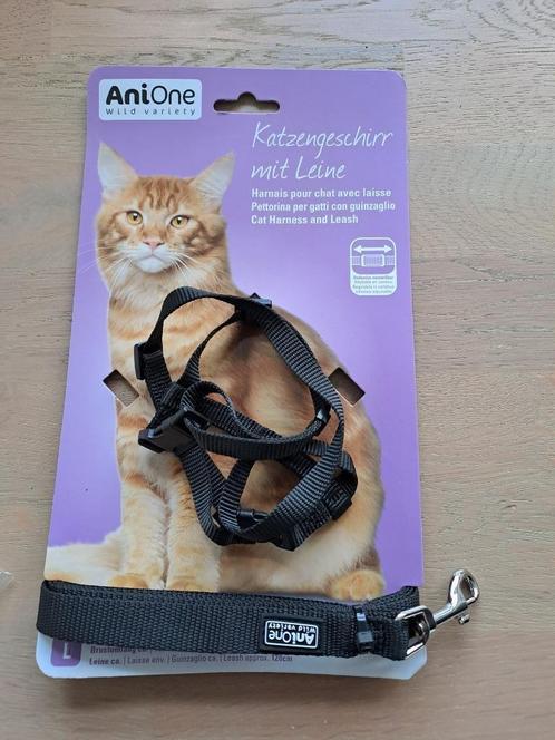 accessoires voor kat, Dieren en Toebehoren, Katten-accessoires, Zo goed als nieuw, Ophalen