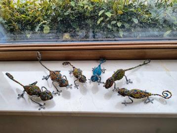 Gekko kameleon familie beschikbaar voor biedingen