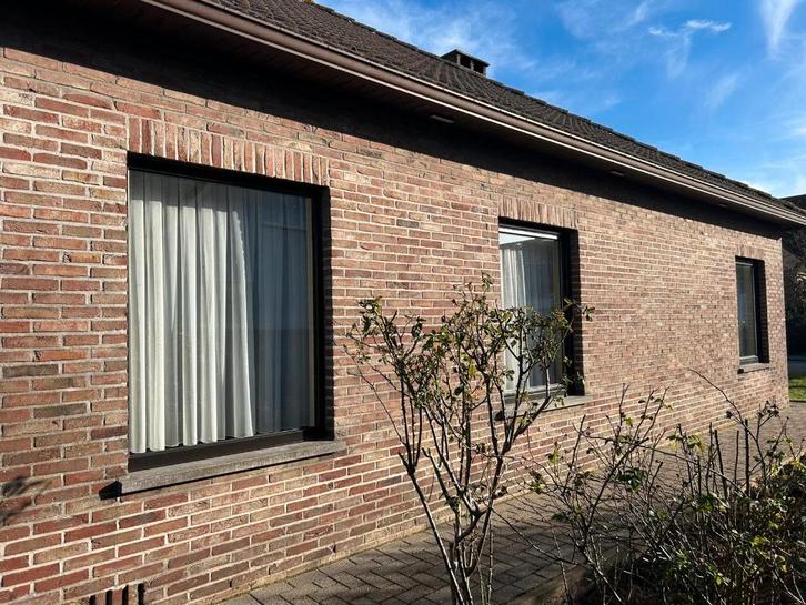 Houten ramen TE KOOP, Doe-het-zelf en Bouw, Raamkozijnen en Schuifdeuren, Gebruikt, Overige typen, Hout, Inclusief glas, Ophalen