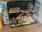 Cage à hamster, Kooi, Zo goed als nieuw, Hamster