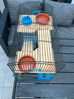 Kooi hamster, Ophalen, Gebruikt, Kooi, Hamster
