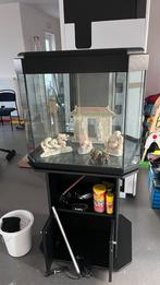 Aquarium 300 litres avec meuble, Dieren en Toebehoren, Vissen | Aquaria en Toebehoren, Ophalen, Gebruikt