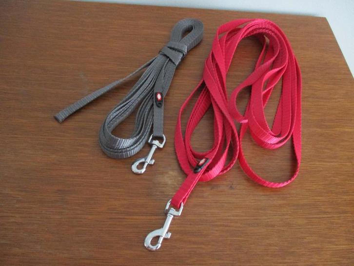 leiband voor hond, Dieren en Toebehoren, Overige Dieren-accessoires, Nieuw, Ophalen of Verzenden