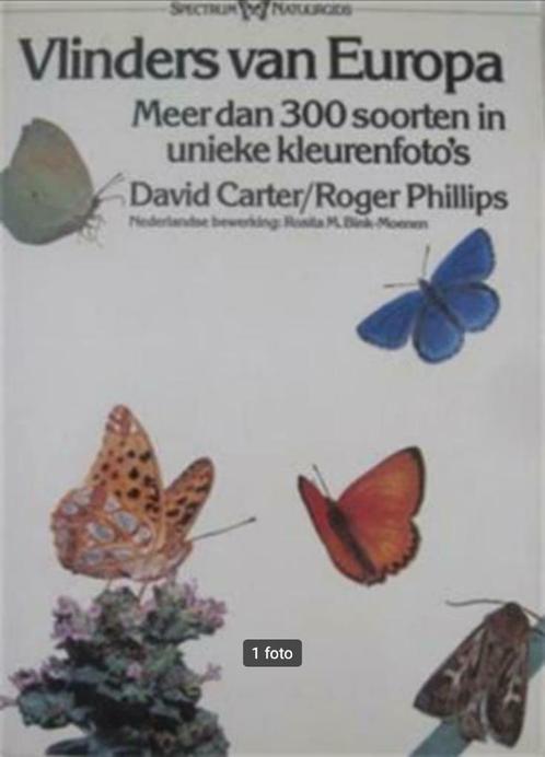 Vlinders van Europa Spectrum natuurgids, Boeken, Dieren en Huisdieren, Overige diersoorten, Ophalen