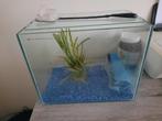 aquarium, steentjes, plantje, visnetje, Dieren en Toebehoren, Ophalen, Zo goed als nieuw, Leeg aquarium