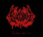 Étui pour CD Bloodbath, Nightmares made Flesh. (Death metal), Enlèvement ou Envoi, Comme neuf