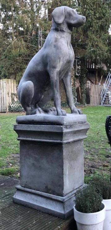 Engelse pointer op sokkel beschikbaar voor biedingen