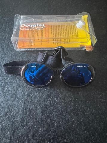 splinternieuwe doggles zonnebril hond XS beschikbaar voor biedingen