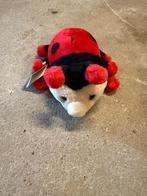 Coccinelle musicale  L Dake en Zn, Kinderen en Baby's, Speelgoed | Knuffels en Pluche, Ophalen of Verzenden, Nieuw, Overige typen