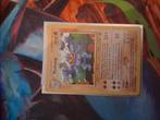 Machamp promo, Enlèvement, Comme neuf
