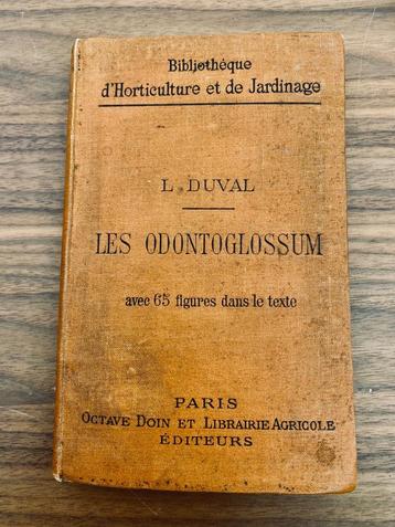 vintage: oude collectie: The ODONTOGLOSSUM (orchideeën) beschikbaar voor biedingen