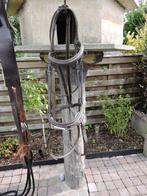 Kopstuk en martegal, Dieren en Toebehoren, Ophalen, Zo goed als nieuw, Springen