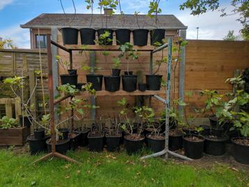 Grote plantenpotten beschikbaar voor tuin en terras