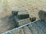 Hooii eerste snede, Dieren en Toebehoren