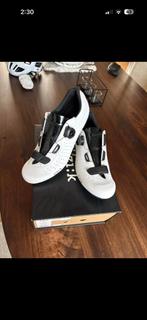 Fizik tempo koersschoenen, Ophalen, Zo goed als nieuw, Schoenen