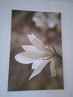 Canvas afbeelding, Maison & Meubles, Accessoires pour la Maison | Peintures, Dessins & Photos, 75 cm ou plus, Comme neuf, Enlèvement