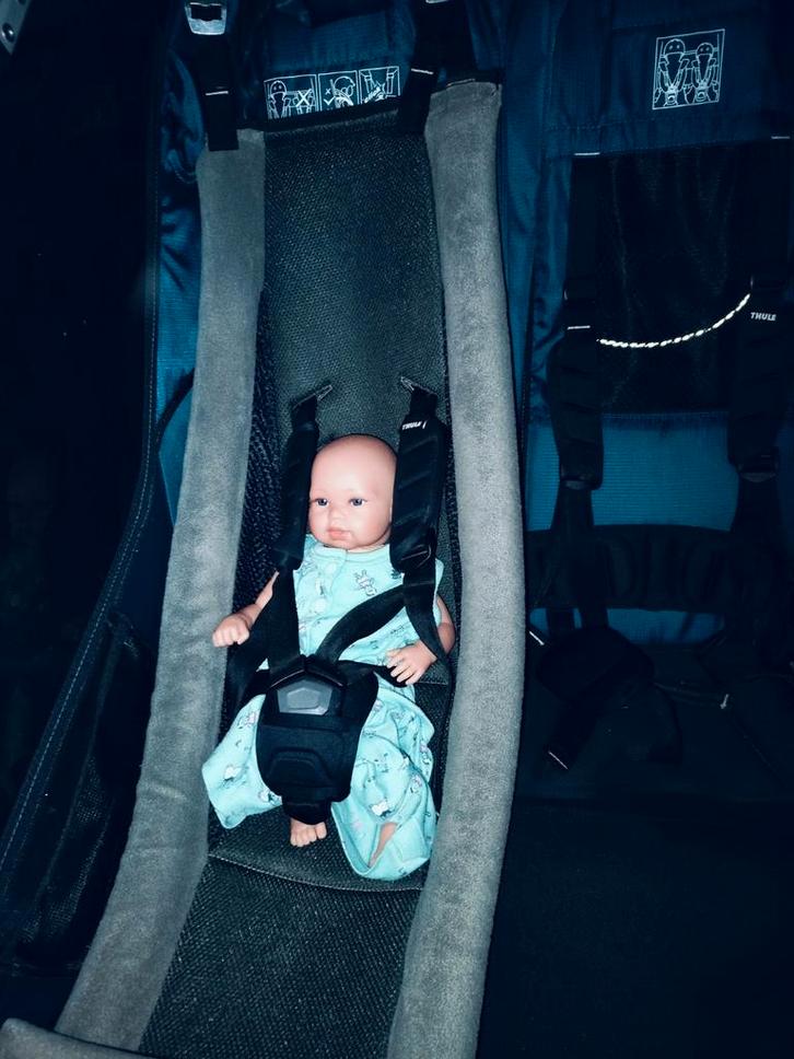 Thule hangmatje voor fietskar, verstelbaar, Kinderen en Baby's, Kinderwagens en Combinaties, Gebruikt, Ophalen