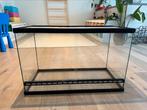 Terrarium, Dieren en Toebehoren, Ophalen, Zo goed als nieuw, Terrarium of Paludarium