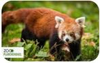 Tickets Zoo Planckendael, Tickets en Kaartjes