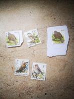 5 gestempelde postzegels België vogels, Postzegels en Munten, Ophalen of Verzenden