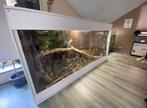 Réalisation Terrarium sur mesure, Neuf