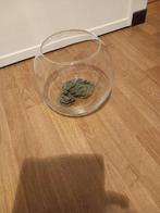 Vis bokaal, Ophalen, Zo goed als nieuw