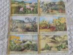 Série de 6 chromos Liebig : Une promenade dans les dunes, Nature, 1940 à 1960, Utilisé, Enlèvement ou Envoi