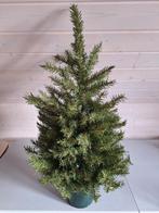Kerstboom 90cm hoogte in pot, Diversen, Ophalen