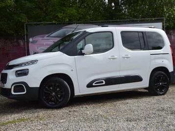 Citroën Berlingo 1.5 BlueHDi M Shine S (bj 2019) beschikbaar voor biedingen