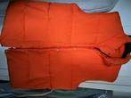 Oranje gilet in NIEUWSTAAT !, Joleen, Envoi, Neuf, Orange