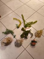 Decoratie aquarium, Dieren en Toebehoren, Vissen | Aquaria en Toebehoren, Ophalen