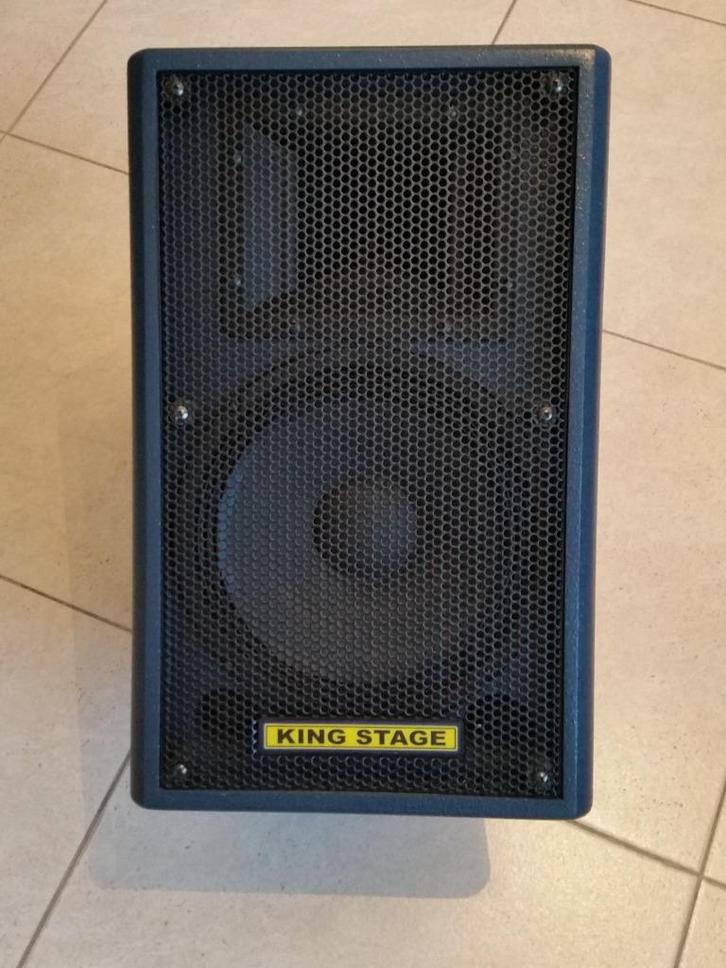 Luidsprekerbox PS-10, Audio, Tv en Foto, Luidsprekerboxen, Zo goed als nieuw, Front, Rear of Stereo speakers, 120 watt of meer