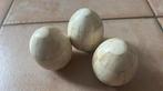 Oeuf en os Authenticité Original Période Contemporain, Enlèvement ou Envoi, Comme neuf