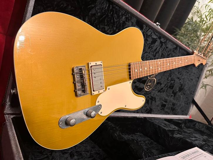 Patrick James Eggle Telecaster Goldtop, Muziek en Instrumenten, Snaarinstrumenten | Gitaren | Elektrisch, Zo goed als nieuw, Ophalen of Verzenden