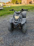 Kinderquad 110cc, Motoren